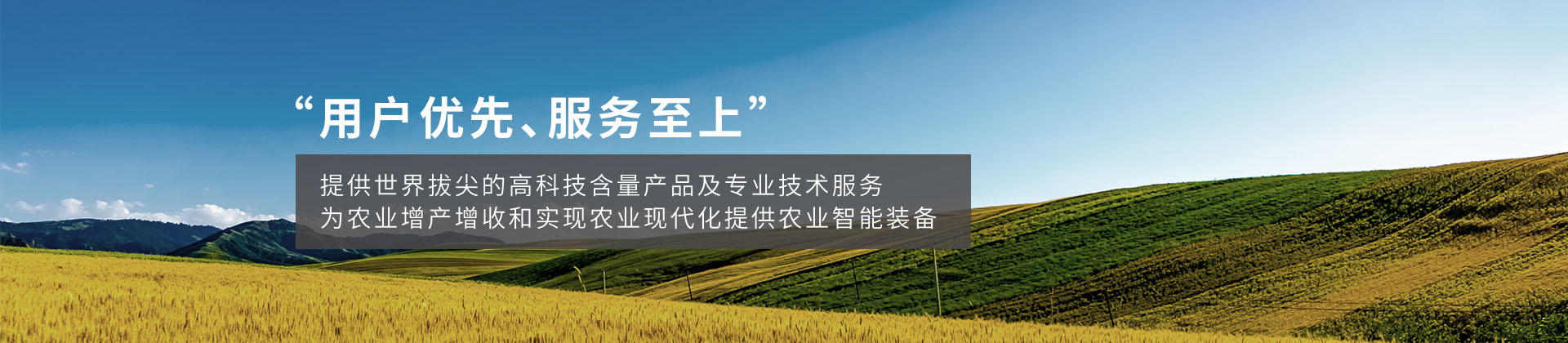 搜索结果
